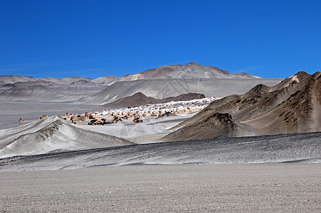 阿根廷卡塔马卡的石块疾病旅行数字身体高地旅游土壤海浪盐水坎波图片