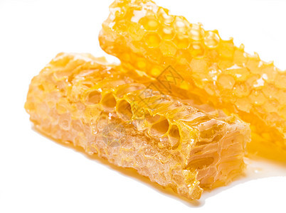 蜜蜂蜂窝液体蜂蜡梳子药品白色食物金子黄色细胞荒野图片