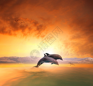 海豚情侣在海浪中跳跃 漂浮在Ai中间太阳生活飞溅哺乳动物天空天堂金子黄色海洋生物橙子图片