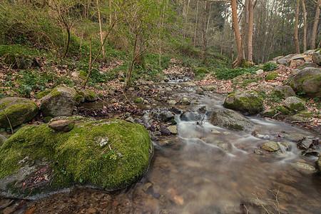 健康的森林河跑步荒野岩石运动瀑布溪流环境植物地球生活图片