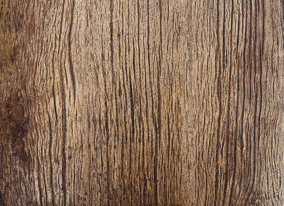树皮木板作为天然林木的自然生长形态背景图片