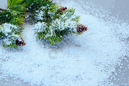 白色背景上雪中的冷杉枝条卡片庆典松树丝带植物假期季节云杉插图玻璃图片
