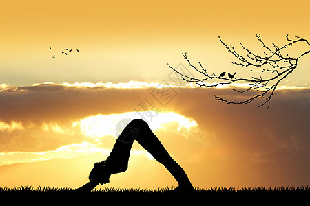 日落时的体积平衡插图身体冥想纪律姿势瑜伽训练太极女性图片