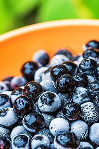 在一个碗里冰冻的阿罗诺尼娅窒息莓浆果健康浆果宏观苦莓黑果饮食营养黑色水果食物图片