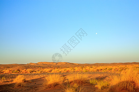 美丽的摩洛哥山地景观 前方有干灌木林荒野山脉晴天自由橙子蓝天日出沙漠沙丘植被图片