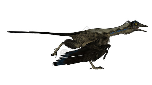 箭形鸟类恐龙3D化身运行图片