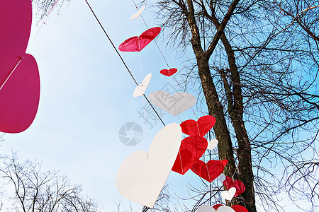公园里的树装饰着白色和红色的心栅栏庆典幸福浪漫问候语季节蓝色植物天空卡片图片