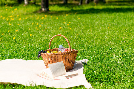 野餐篮子 在夏季公园的一格子上加水果野餐花园毯子草地柳条午餐阳光闲暇营养小吃图片