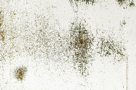 古龙基背景棕色纹理墙生锈 生锈的旧有机温素乡村老年古董霉变苦恼褐色霉菌白色图片