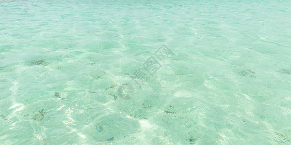 位于尼隆普罗多多巴哥西印度群岛的加勒比清洁海水表面浅水深图片