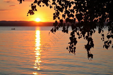 在湖边模糊的背景日落下 树木的深色休丽背影图片