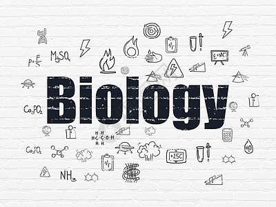 背景墙上的科学概念生物学测量涂鸦教育实验化学学习物理草图勘探建筑学图片