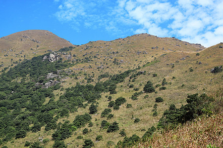 山岳和阴暗的蓝云晴天绿色植物全景假期旅行地块场地国家针叶松树图片