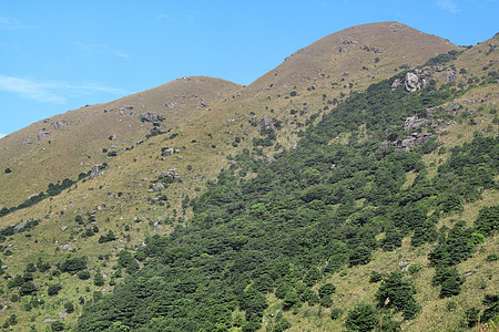 山岳和阴暗的蓝云地面场地晴天松树风景牧场天空场景针叶美丽图片