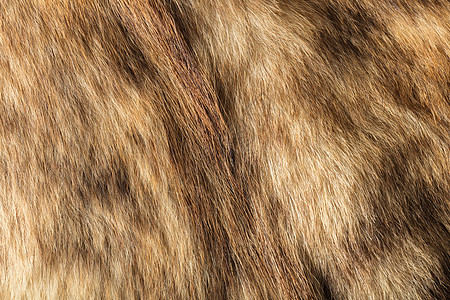 天然符的质地皮肤材料头发皮革动物荒野棕色羊毛外套宏观图片