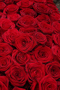 一大群红玫瑰花束植物绿色花店植物群粉色花朵玫瑰团体新娘图片
