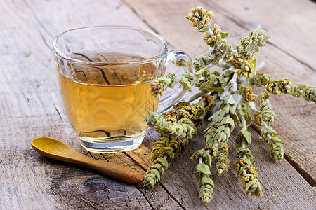 草草山茶输液荒野花瓣农业树叶植物牧羊人药品植物群味道图片