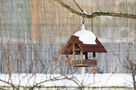 冬季花园的鸟屋房子野生动物荒野托盘男人动物种子食物栖息地桌子图片