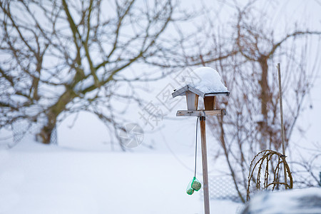 冬季花园中的简单鸟屋爱好木头鸟巢桌子房子季节种子男人动物野生动物图片