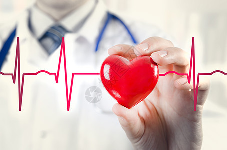 心脏病专家拿着心脏 3D 模型 心电图的概念科学状况诊所压力心脏病学卫生医院医生疾病保健图片