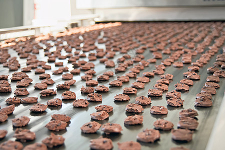 饼干烘烤生产线;图片