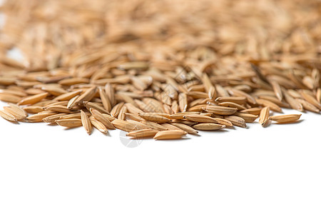 白背景的稻种种子食物栽培饮食营养棕色文化黄色稻田图片