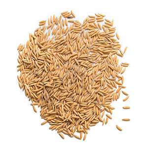 白背景的稻种稻田棕色栽培食物饮食黄色文化种子营养图片