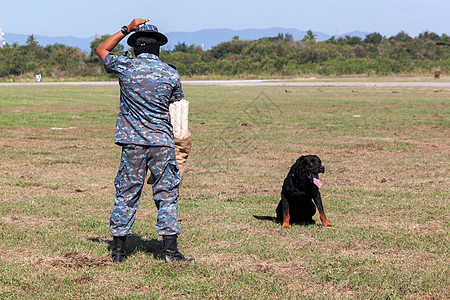 K9狗部队士兵领导斗争训练处理警察单元程序执法法律药品图片