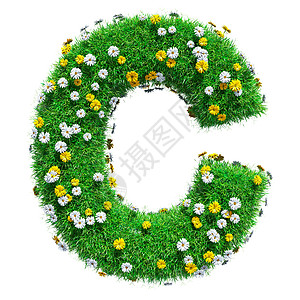 字母 C 的绿草和花绿色植物生长艺术字体环境生态地球植物洋甘菊首都图片