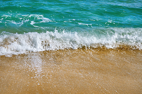 海虾海水海岸浪花支撑水域环境海洋冲浪泡沫海滩背景图片