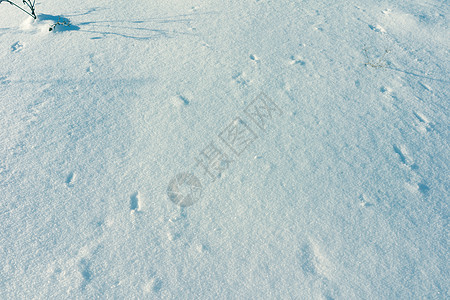 雪地背景纹理水晶雪场晴天冻结雪景假期季节雪花蓝色地面图片