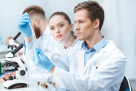 研究实验室测试管的男女青年化学家;在实验室中检查试验管图片