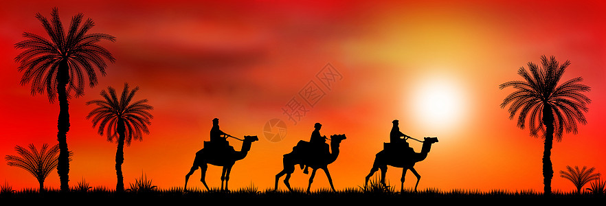 日落时骑骆驼动物黑色景观大篷车绿洲红色插图团体沙漠太阳图片
