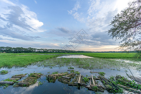 绿地和蓝天空海拔乡村多云农场植物风景农业场地阳光场景图片