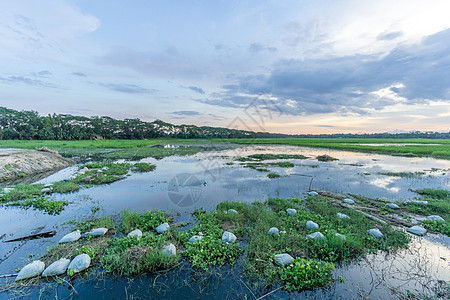 绿地和蓝天空蓝色多云场景草原乡村国家天空植物日落绿色图片