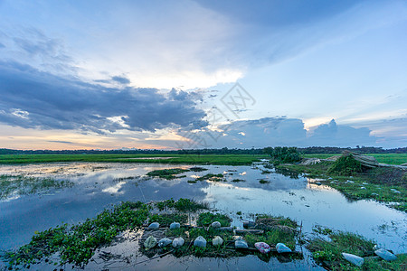 绿地和蓝天空海拔场景植物日落农场风景乡村阳光多云绿色图片