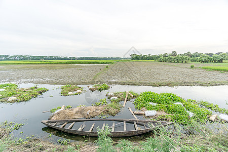 绿地和蓝天空农场阳光日落植物海拔天空乡村农业国家草原图片