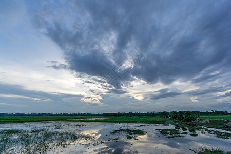 绿地和蓝天空绿色蓝色场景日落场地农场海拔多云乡村植物图片