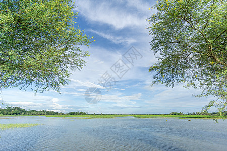 绿地和蓝天空乡村农场国家植物风景草原天空海拔绿色多云图片