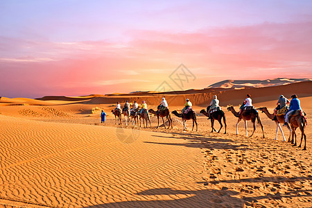 骆驼大篷车穿过撒哈拉沙漠的沙丘日落沙漠男人蓝色旅行天空运输图片