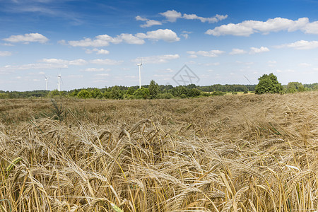 波兰苏瓦基的风力涡轮机发电机闲暇森林安全桅杆土地涡轮风景蓝色观光图片