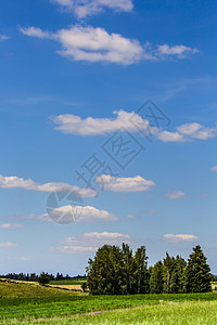 波兰苏瓦西景观公园土地蓝色丘陵闲暇灌木荒野森林场景牧歌蝾螈图片