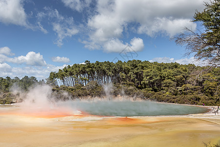 新西兰罗托鲁阿州保留地香槟池脆皮地热风景地质学天空沸腾蒸汽橙子森林旅行图片