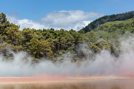 新西兰罗托鲁阿州保留地香槟池森林陨石地标全景沸腾蓝色水池脆皮气泡旅行图片