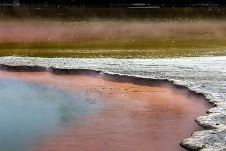 新西兰罗托鲁阿州保留地香槟池气泡蓝色火山地质学旅行森林蒸汽地标沸腾水池图片