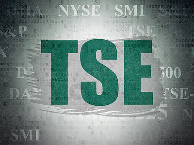 股票市场指数概念 TSE 在数字数据纸背景上经济代码库存技术交换编程生长绘画市场软件图片