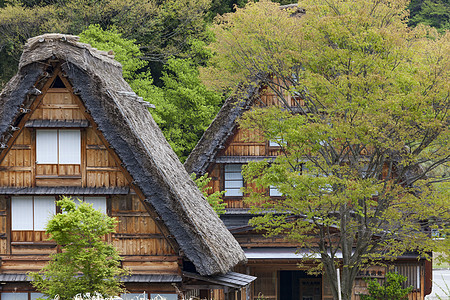 传统和历史古老的日本村庄白川建筑学橙子村庄世界农场农家文化历史性博物馆建筑图片