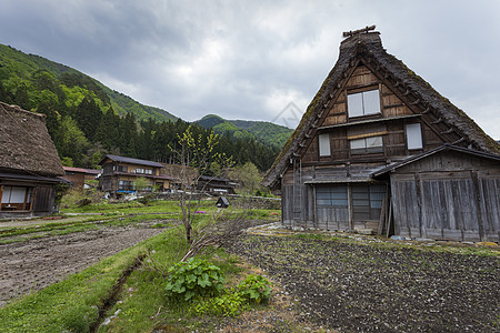 传统和历史古老的日本村庄白川三角形房子村庄文化橙子农家全景博物馆历史性建筑学图片