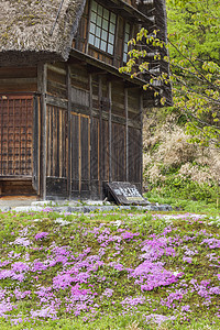 传统和历史古老的日本村庄白川农家建筑学三角形村庄全景遗产地标历史性农场建筑图片