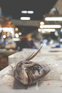 日本津治鱼市营养海鲜饮食孵化场海洋美食盘子厨房街道杂货店图片